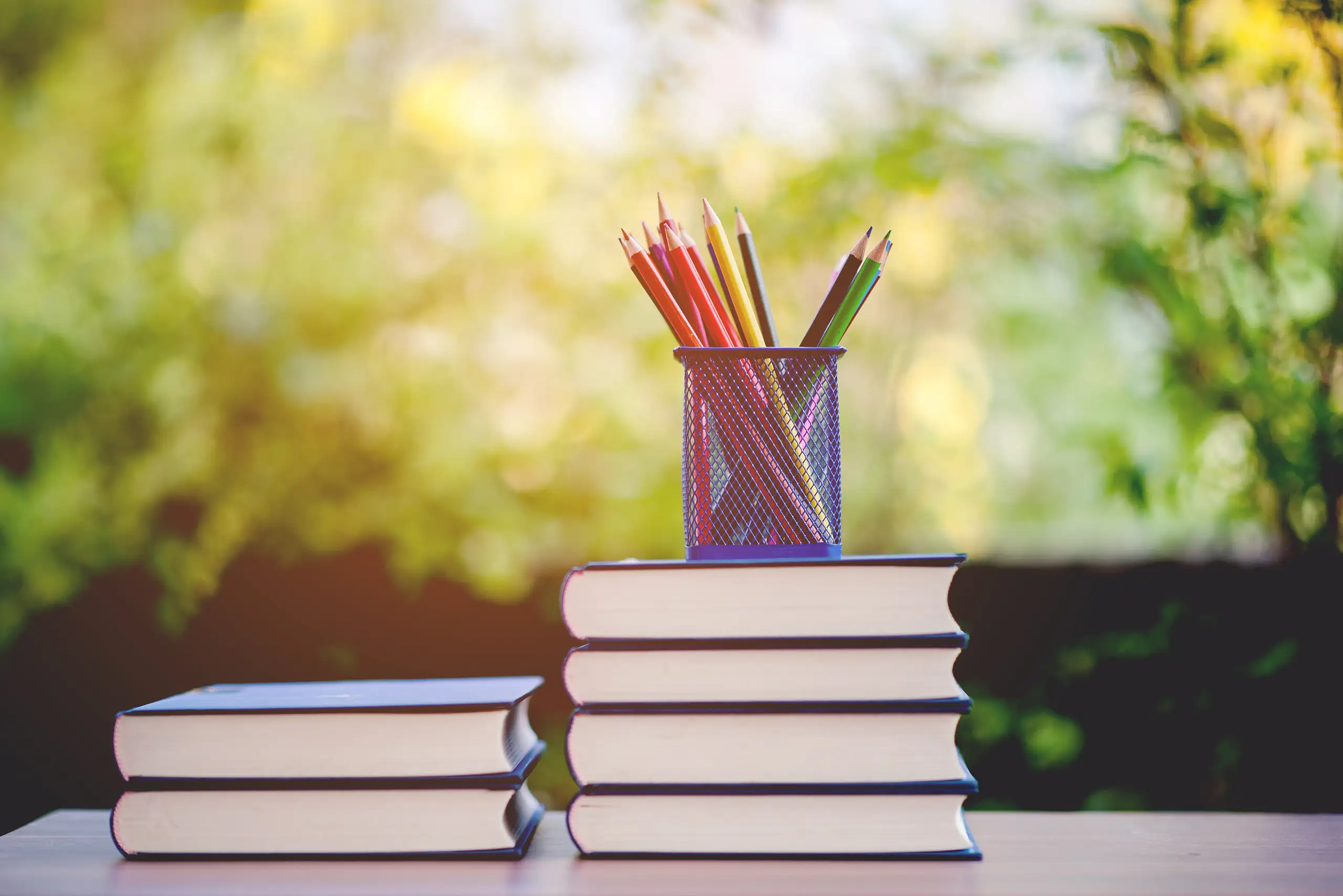 Ein Stiftehalter mit bunten Buntstiften steht auf einem Stapel Bücher. Der Hintergrund zeigt unscharfes, grünes Laub.