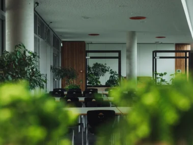 Heller Raum mit modernen Glaswänden, mehreren Tischen und schwarzen Stühlen, umgeben von Grünpflanzen. Die Decke hat runde, orange Akzente und an den Wänden sind Holzpaneelen. Es herrscht eine ruhige Atmosphäre.